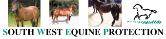 South West Equine Protection