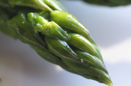 Asparagus - The Tast of Summer