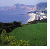 Dorset